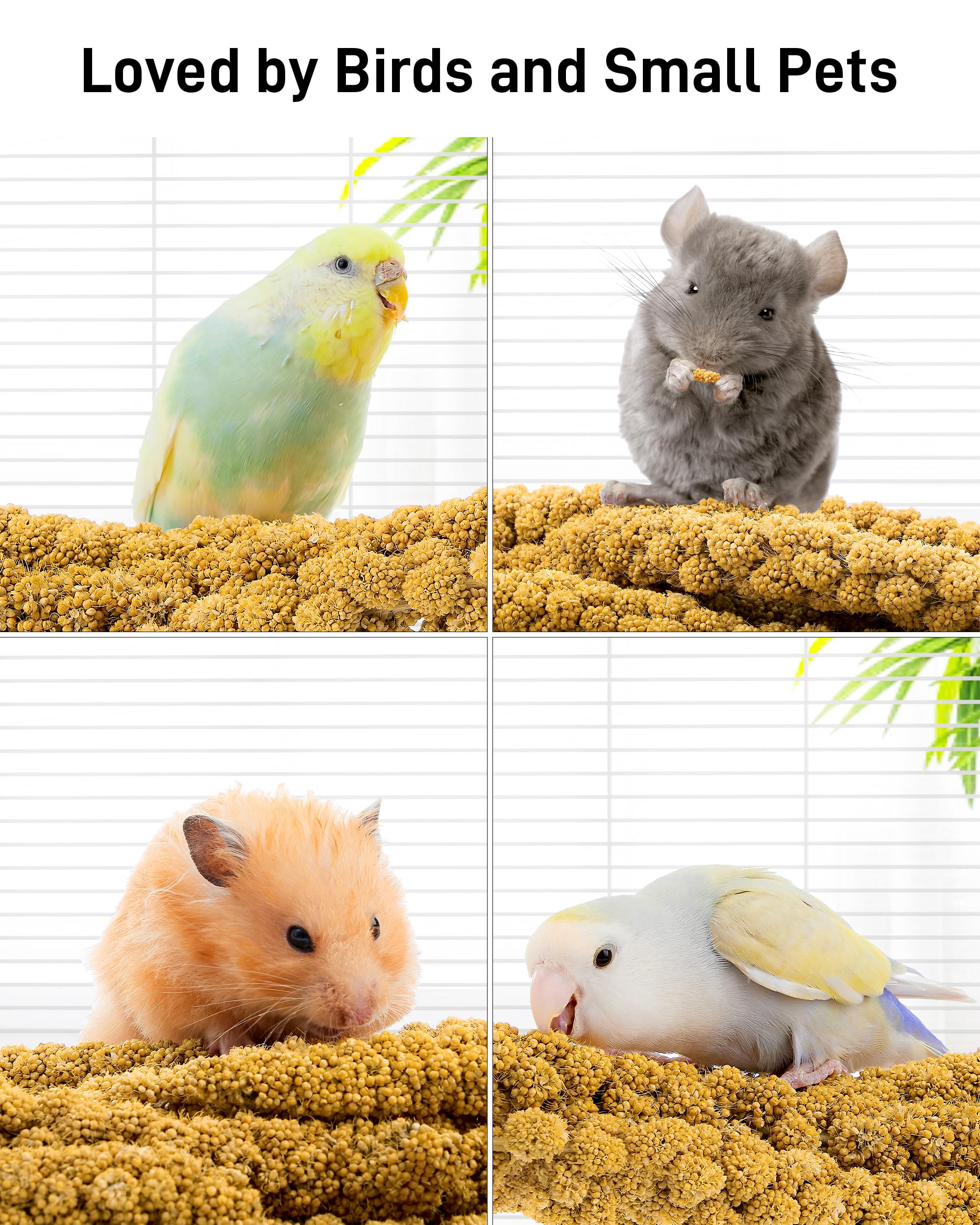 BUCATSTATE small-pets-enjoyment shot proves millet appeals to birds and small pets.