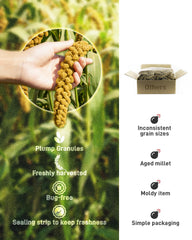BUCATSTATE two-point-two-pounds millet bag emphasizes value and freshness for parrots.