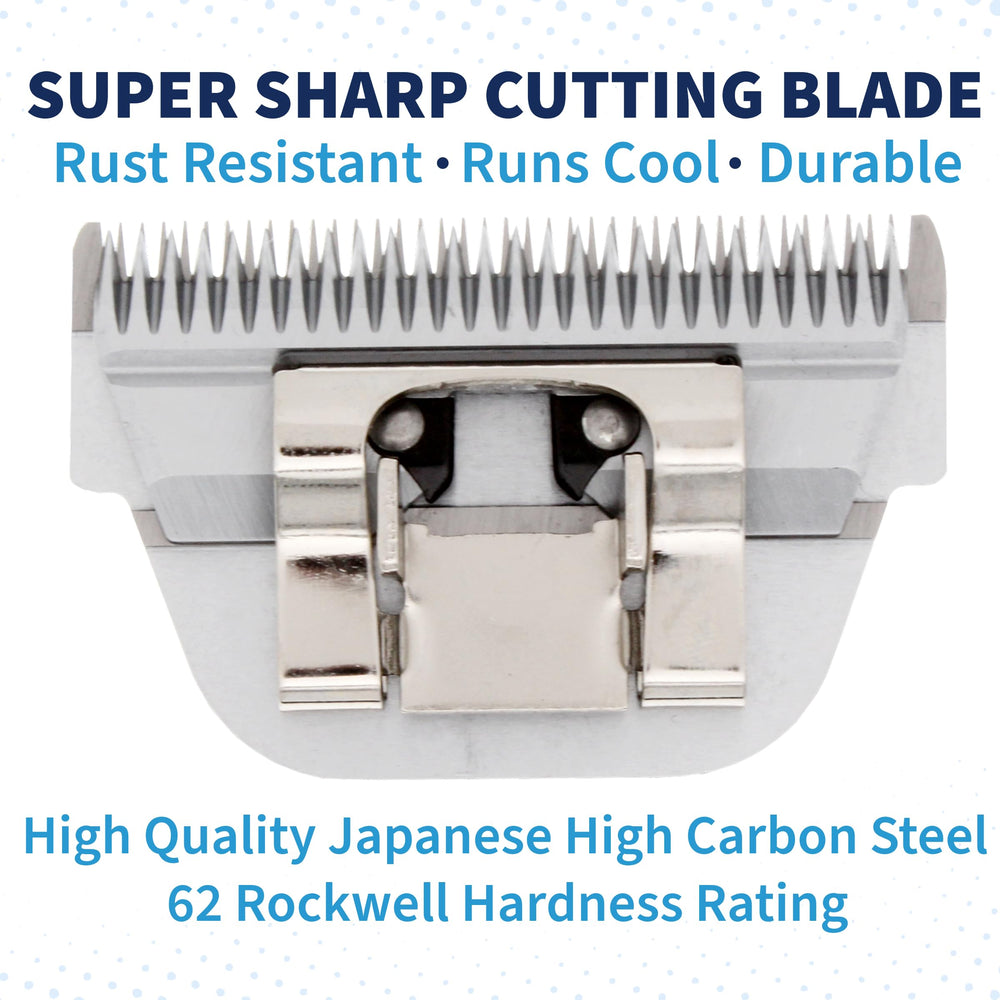 Bucchelli high-carbon steel blade close-up highlighting sharp, long-lasting edge
