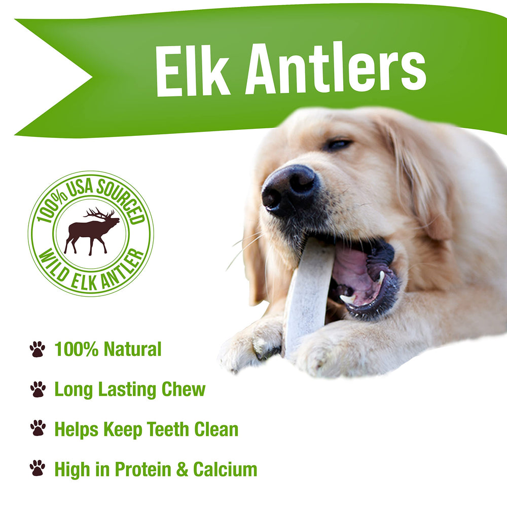 Buck Bone Organics dog chew close-up highlighting natural, dental-health-supporting antler