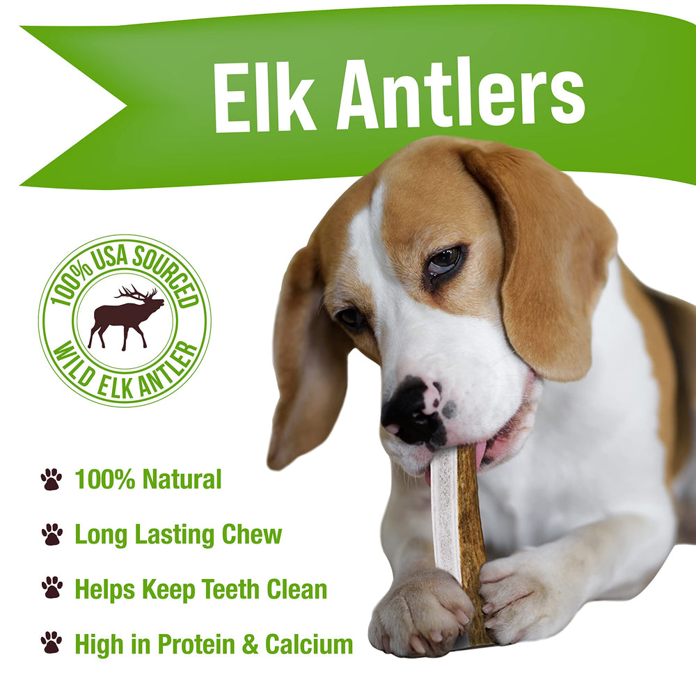 Buck Bone Organics elk antler medium dog chew with a smooth sanded finish for safe gnawing