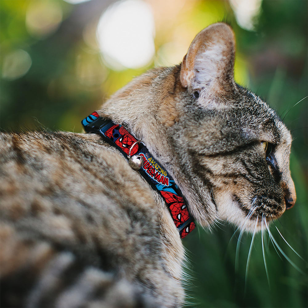 Buckle-Down cat collar close-up shows Spider-Man artwork and durable hardware for long wear.