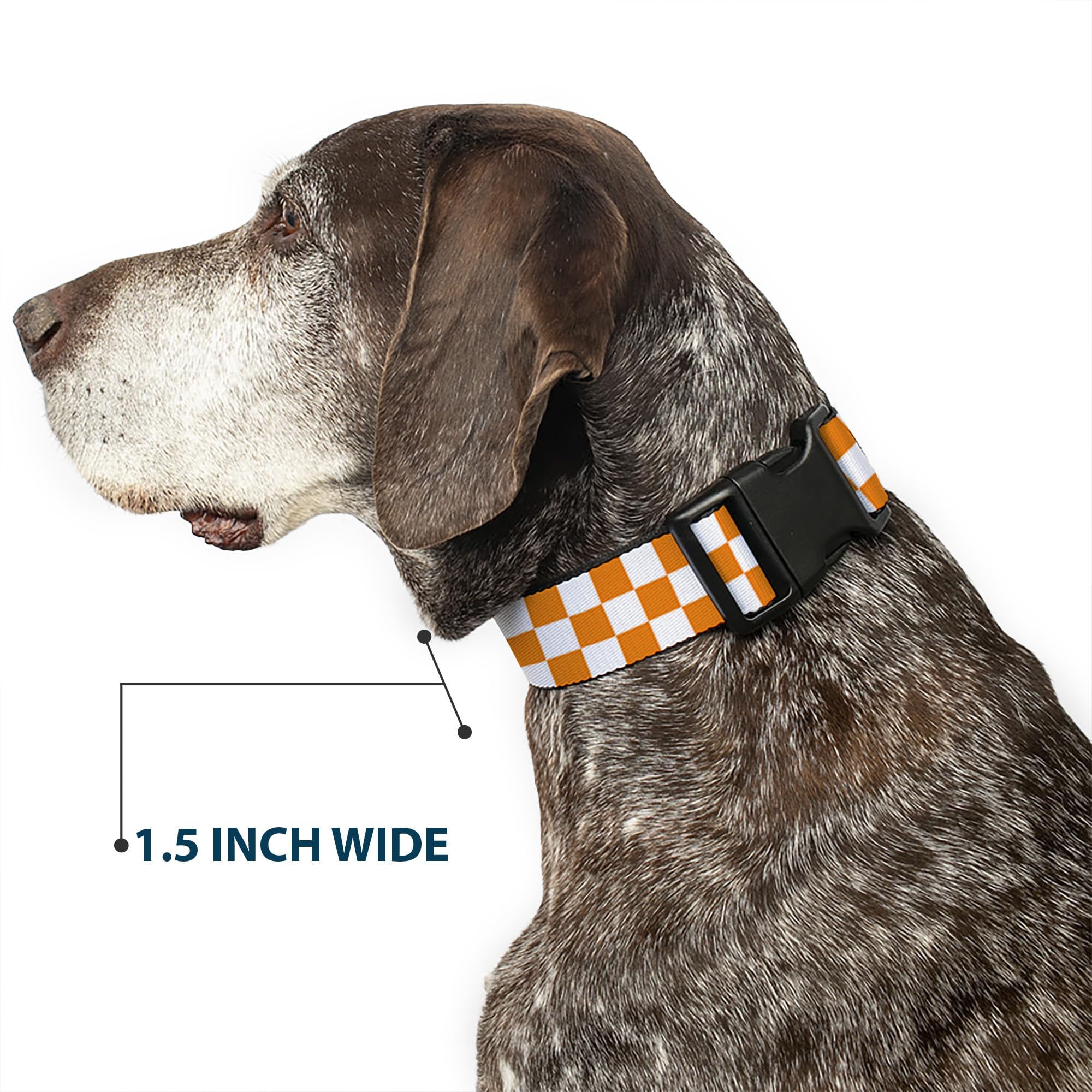 Colorful checker white and tn orange scheme enhances seasonal dog fashion.