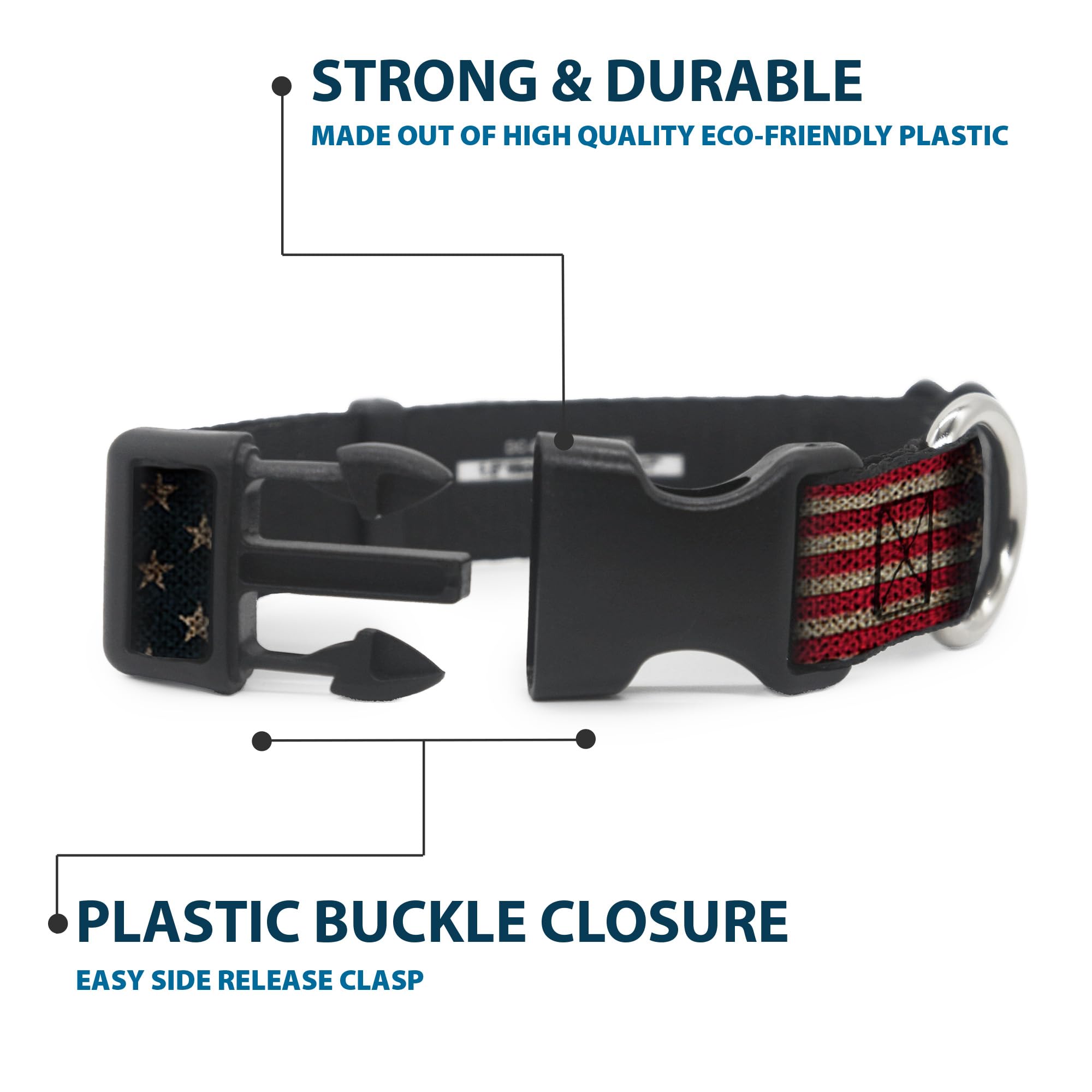 Buckle-Down collar close-up shows strong D-ring and resilient construction
