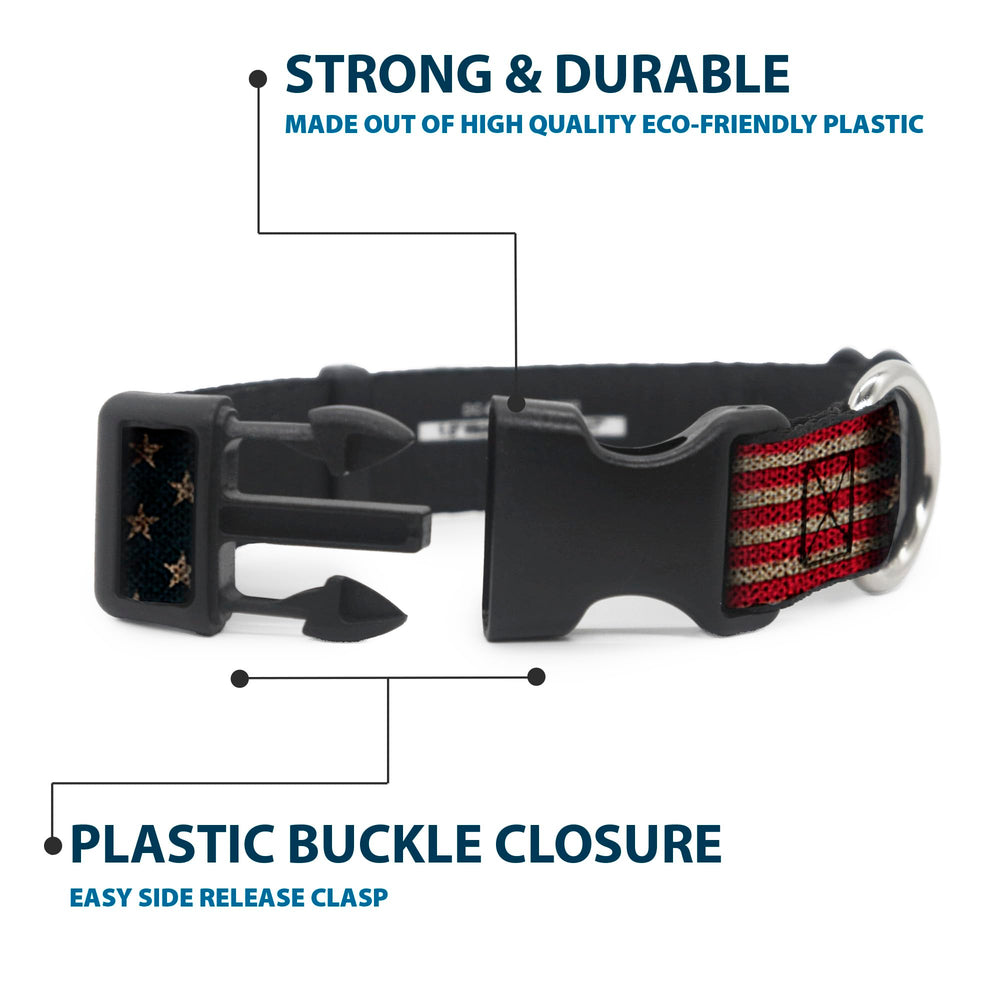 Buckle-Down collar close-up shows strong D-ring and resilient construction