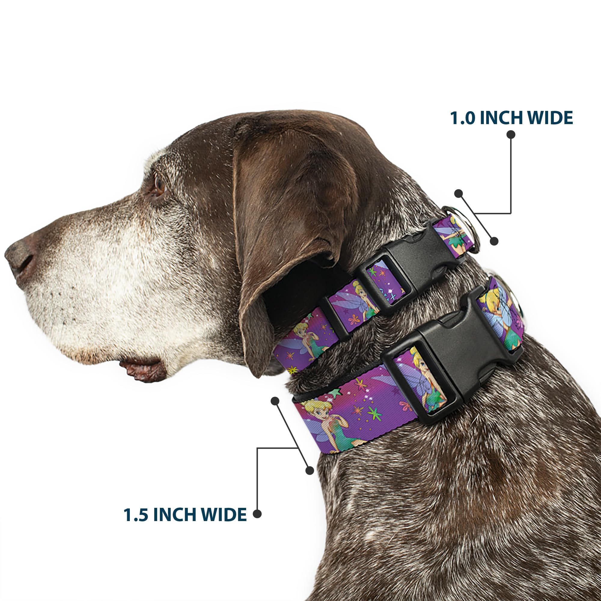 Buckle-Down flowers pattern collar purple for playful everyday walks.