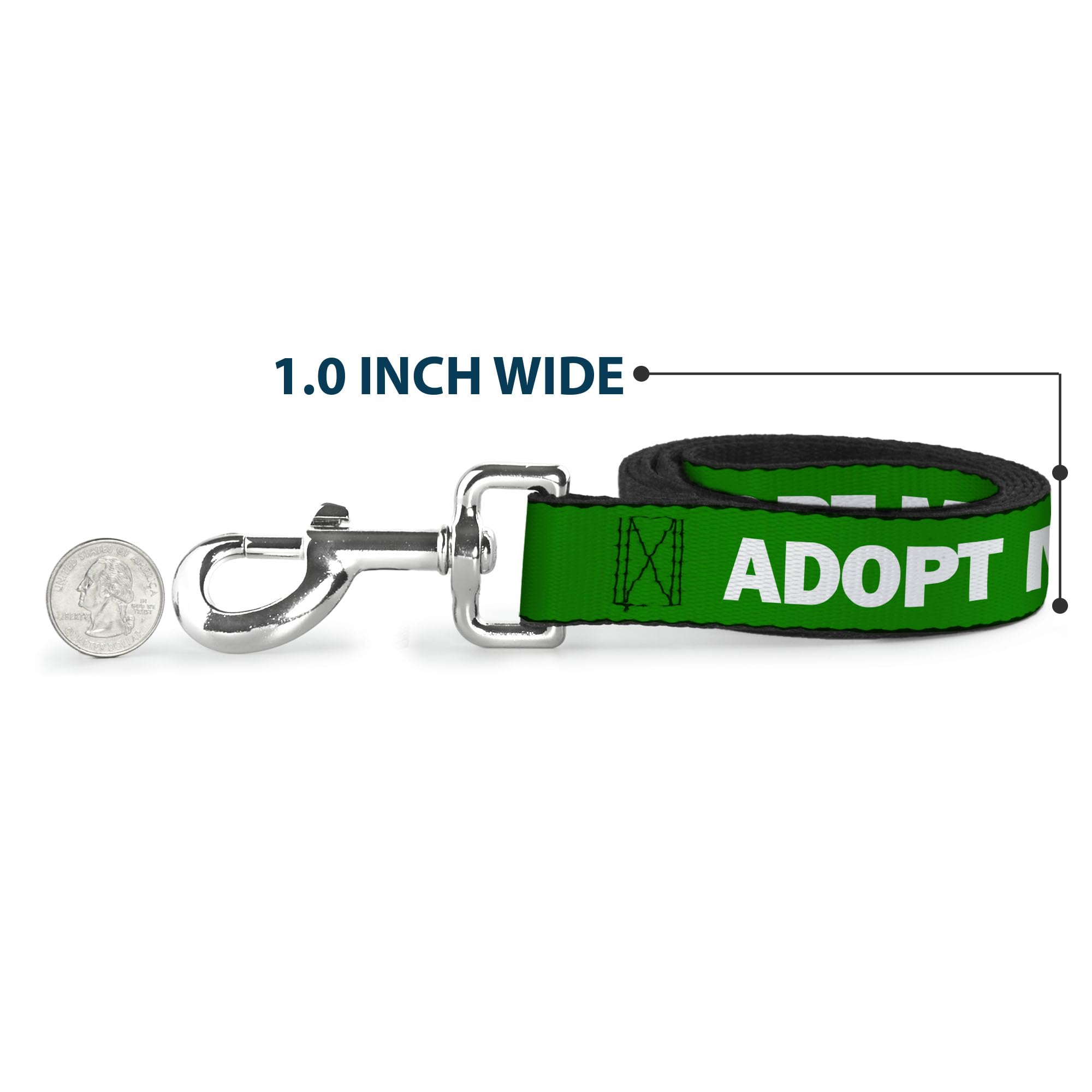 Buckle-Down leash length four feet ideal for balanced leash training and casual strolls.
