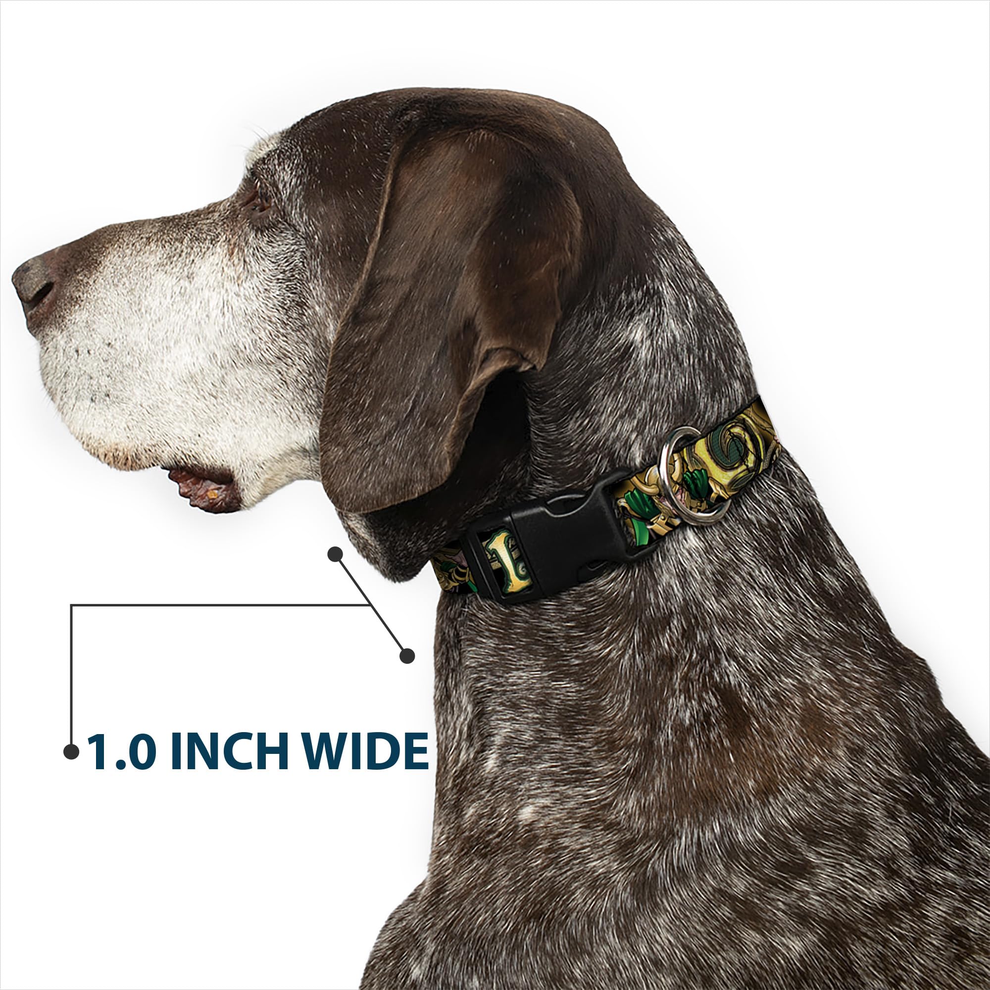 Buckle-Down Loki Poses Marvel licensed collar for licensed character style