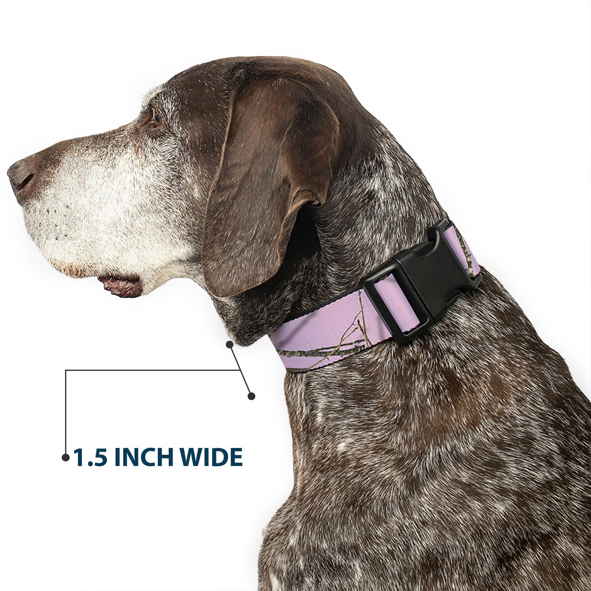 Buckle-Down Mossy Oak collar with matching leash option demonstrated.