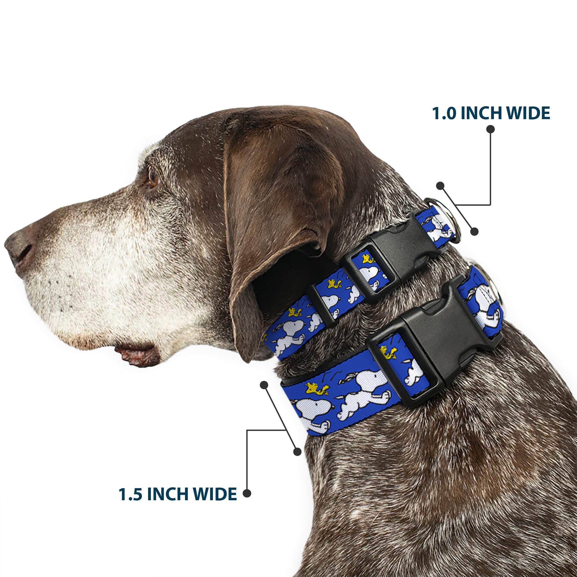 Buckle-Down Peanuts Snoopy Woodstock blue collar closeup highlights bright print and durable stitching.