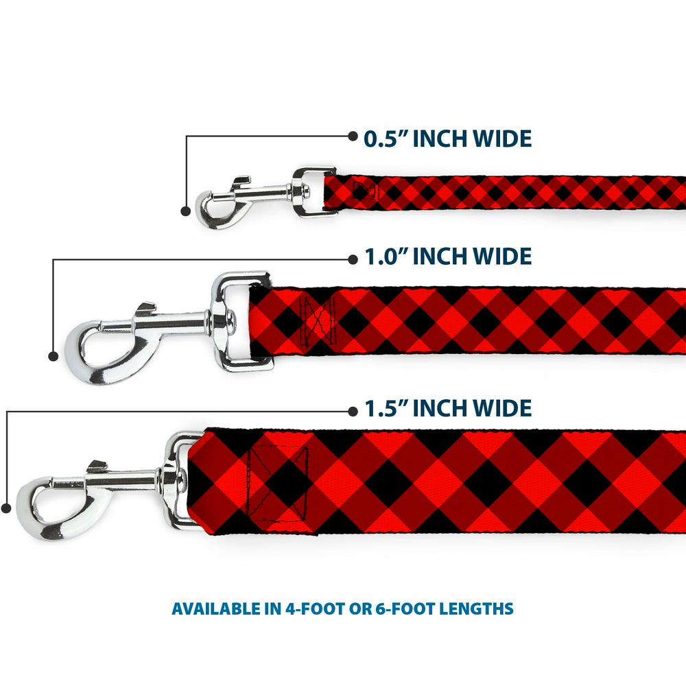 Steel hardware close-up on Buckle-Down leash indicating secure connection