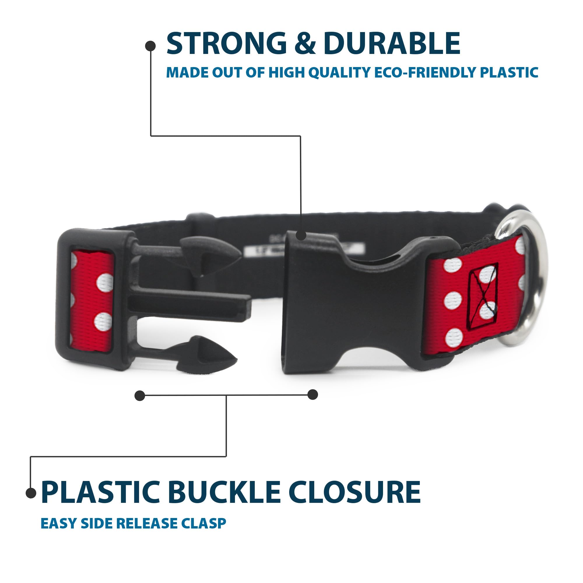 Reinforced buckle and D-ring on Buckle-Down collar for secure leash attachment