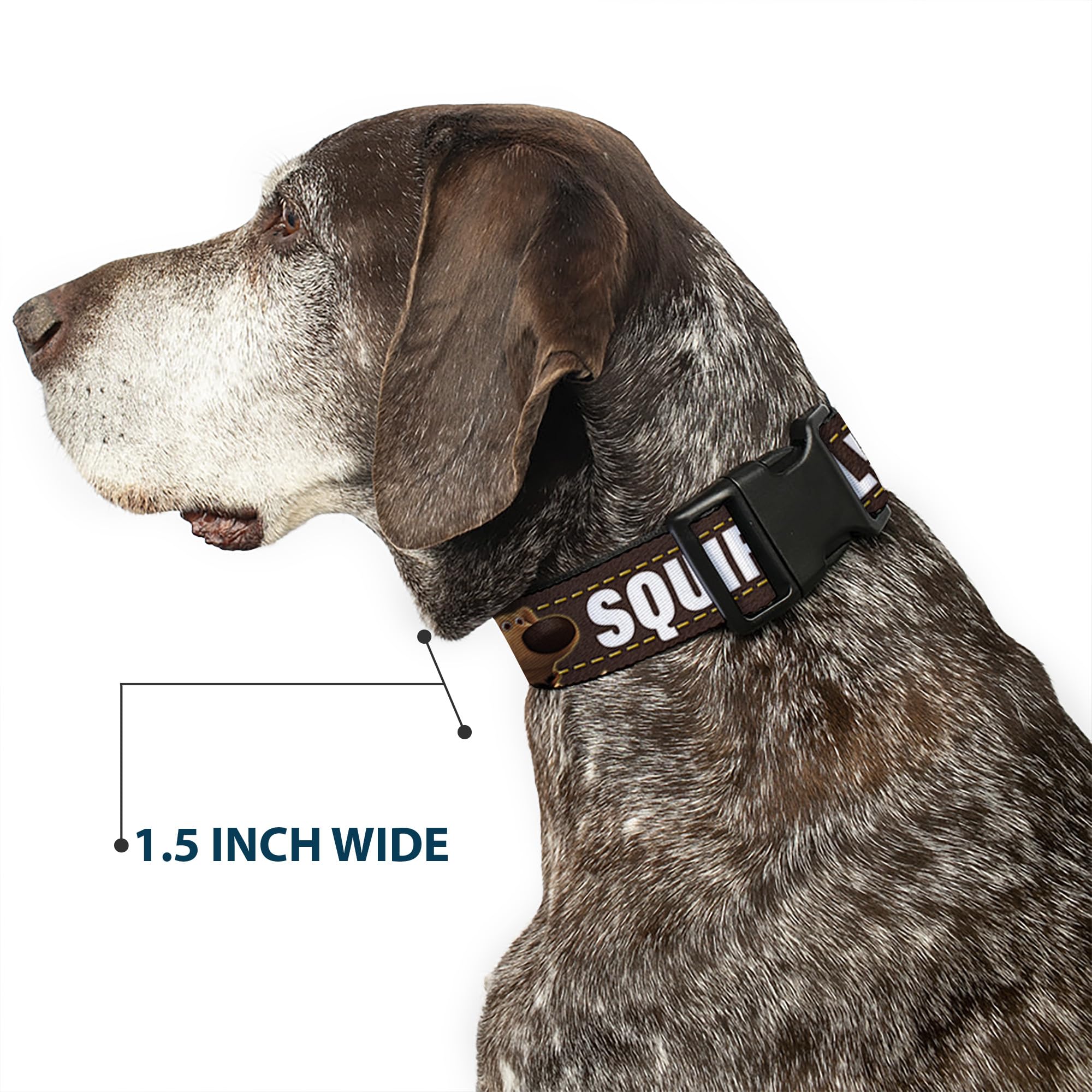 Buckle-Down durable plastic buckle built for energetic dogs outdoors