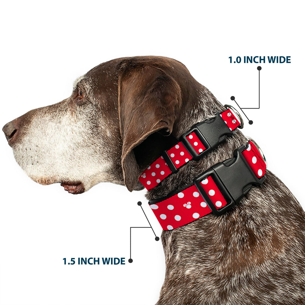 Buckle-Down Minnie silhouette collar showing off playful design for durable daily walks