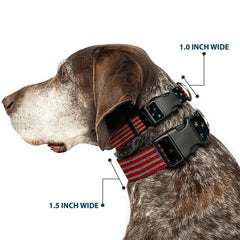 Buckle-Down plastic clip collar vintage US flag on dog demonstrates bold patriotic style