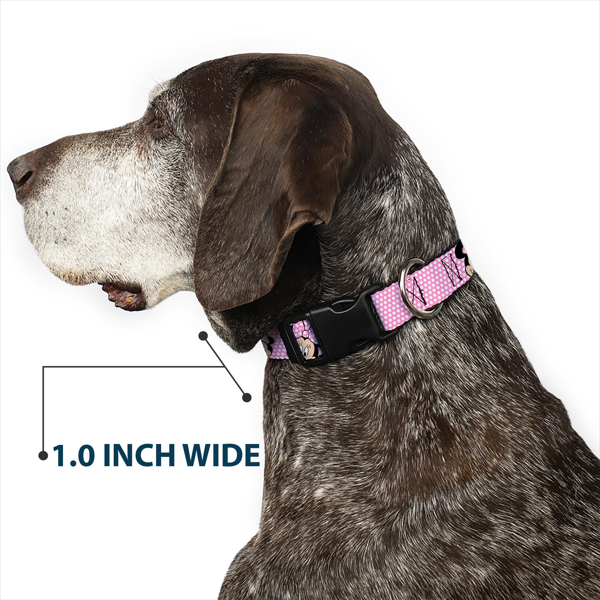Buckle-Down polka dot collar side view highlighting cheerful design.