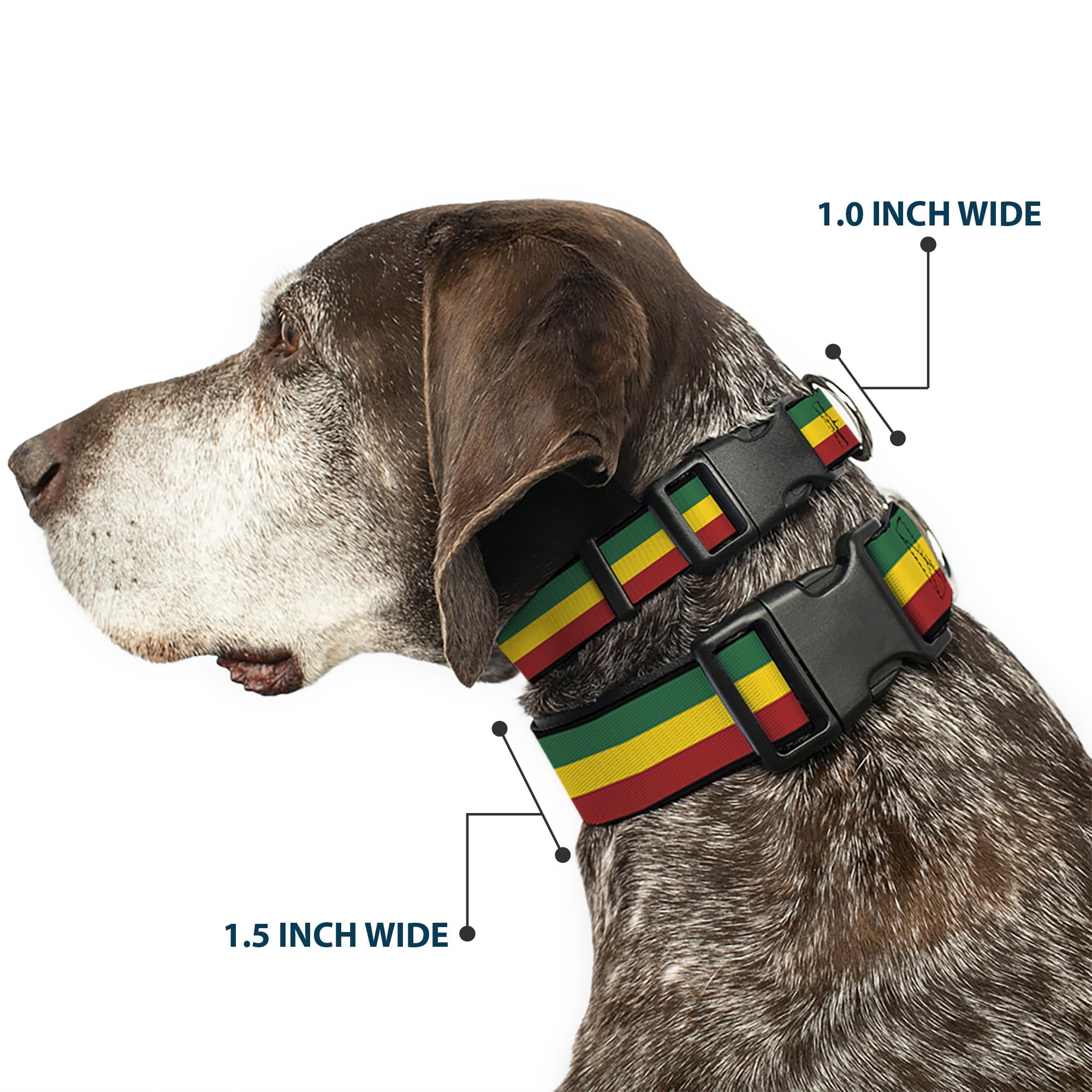 Buckle-Down Rasta collar with D-ring highlights strong leash attachment