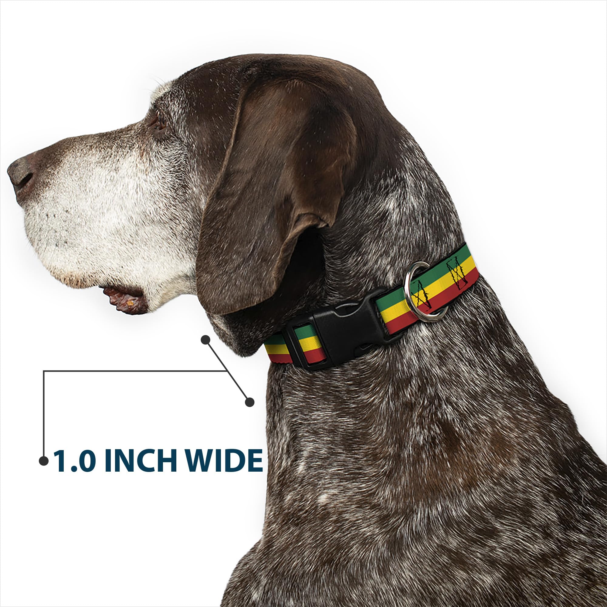 Buckle-Down Rasta collar USA-made handcrafted tag signals quality craft
