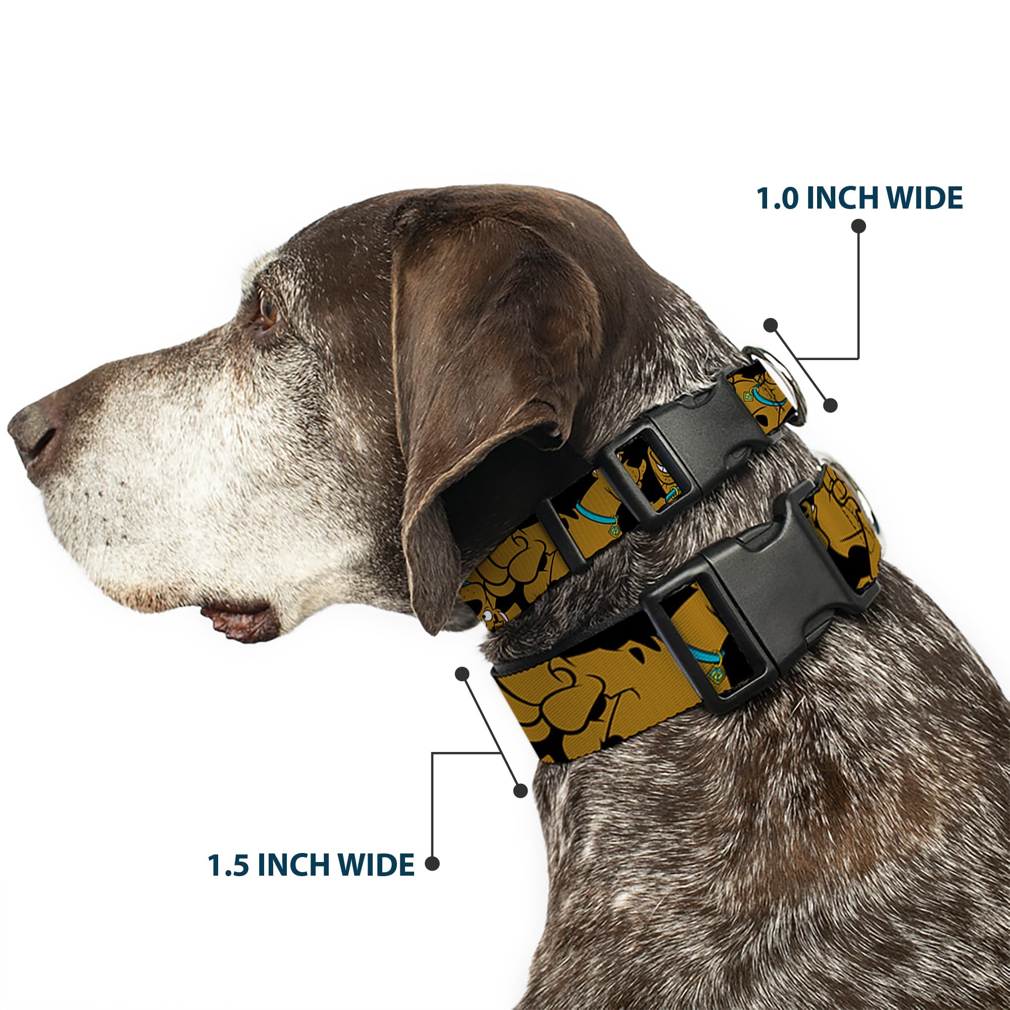 Buckle-Down Scooby-Doo vibrant polyester collar shows bold style for seasonal adventures