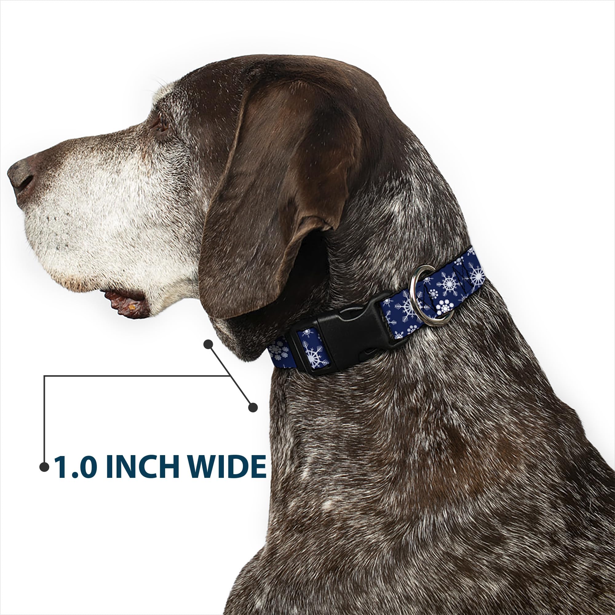 Buckle-Down Snowflakes collar pairs with matching leash.