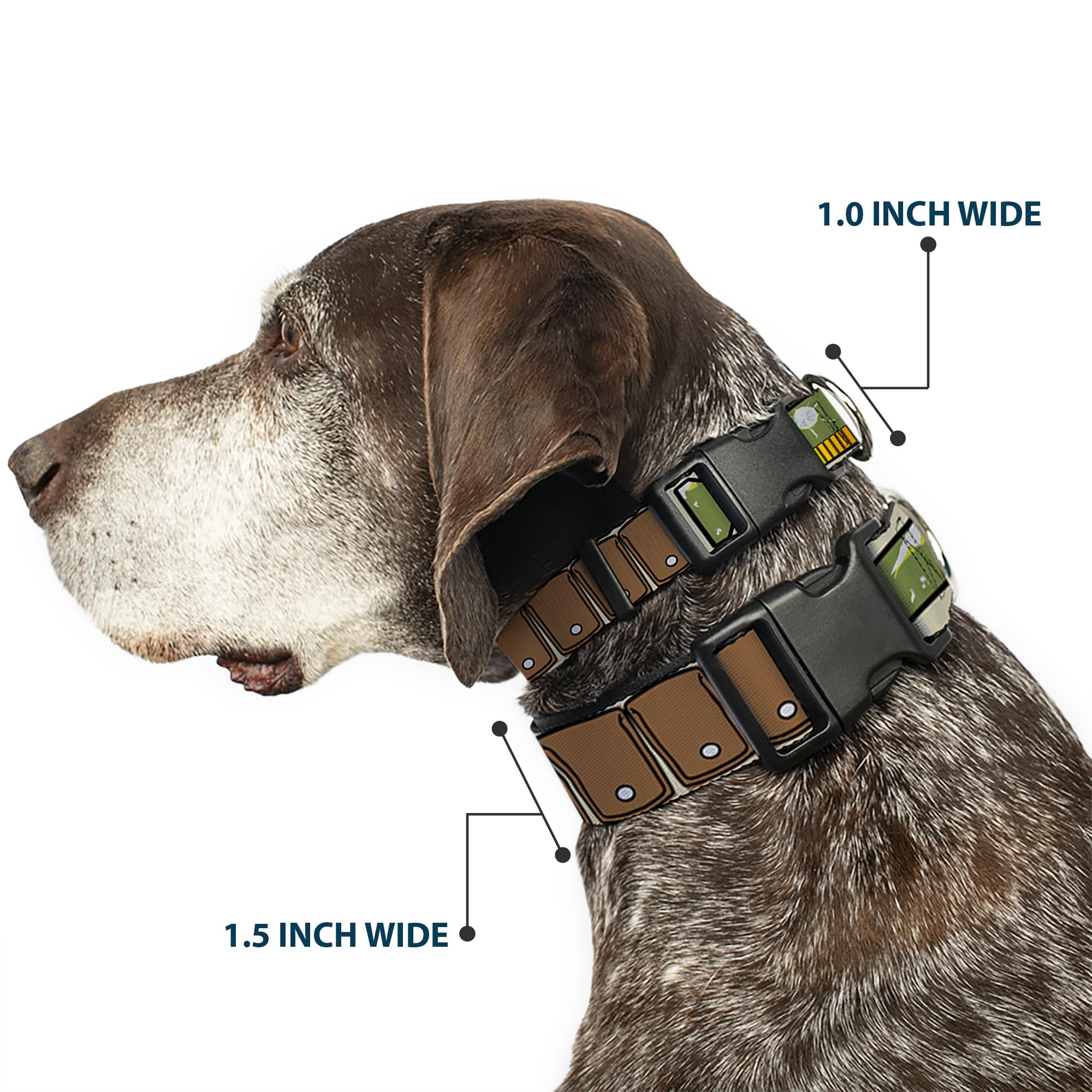 Star Wars Buckle-Down collar, 1-inch wide, offers durable daily wear.