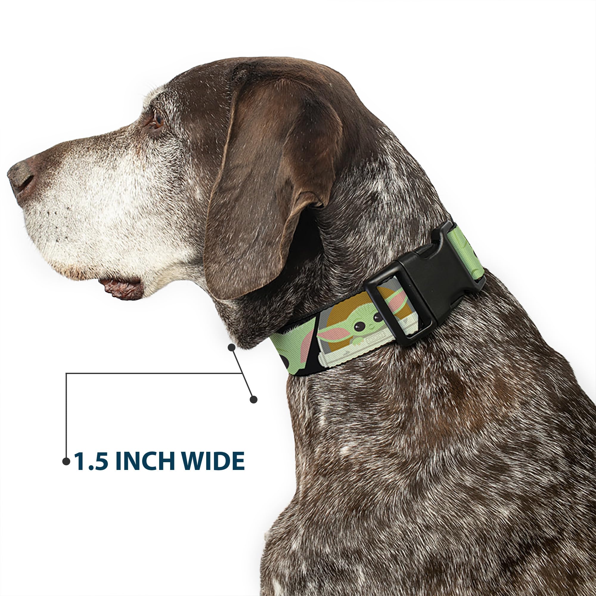 Buckle-Down official licensed Star Wars collar, premium craftsmanship