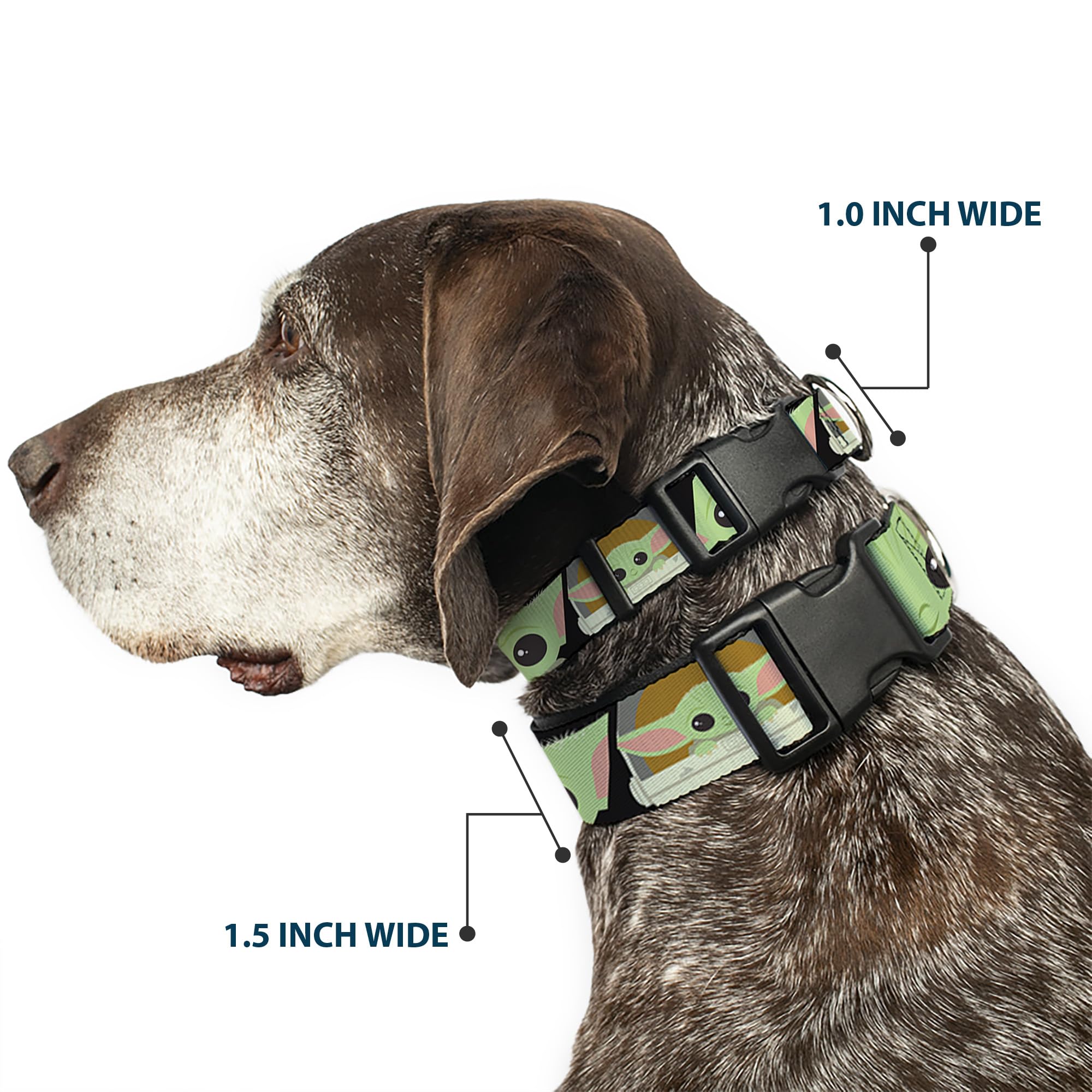 Buckle-Down dog collar closeup of plastic buckle for secure everyday wear