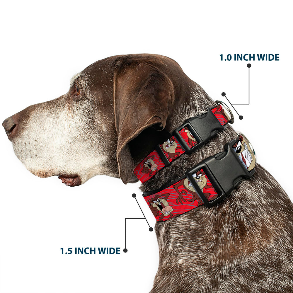 Buckle-Down Tasmanian Devil collar side view emphasizes sturdy buckle and secure fit.