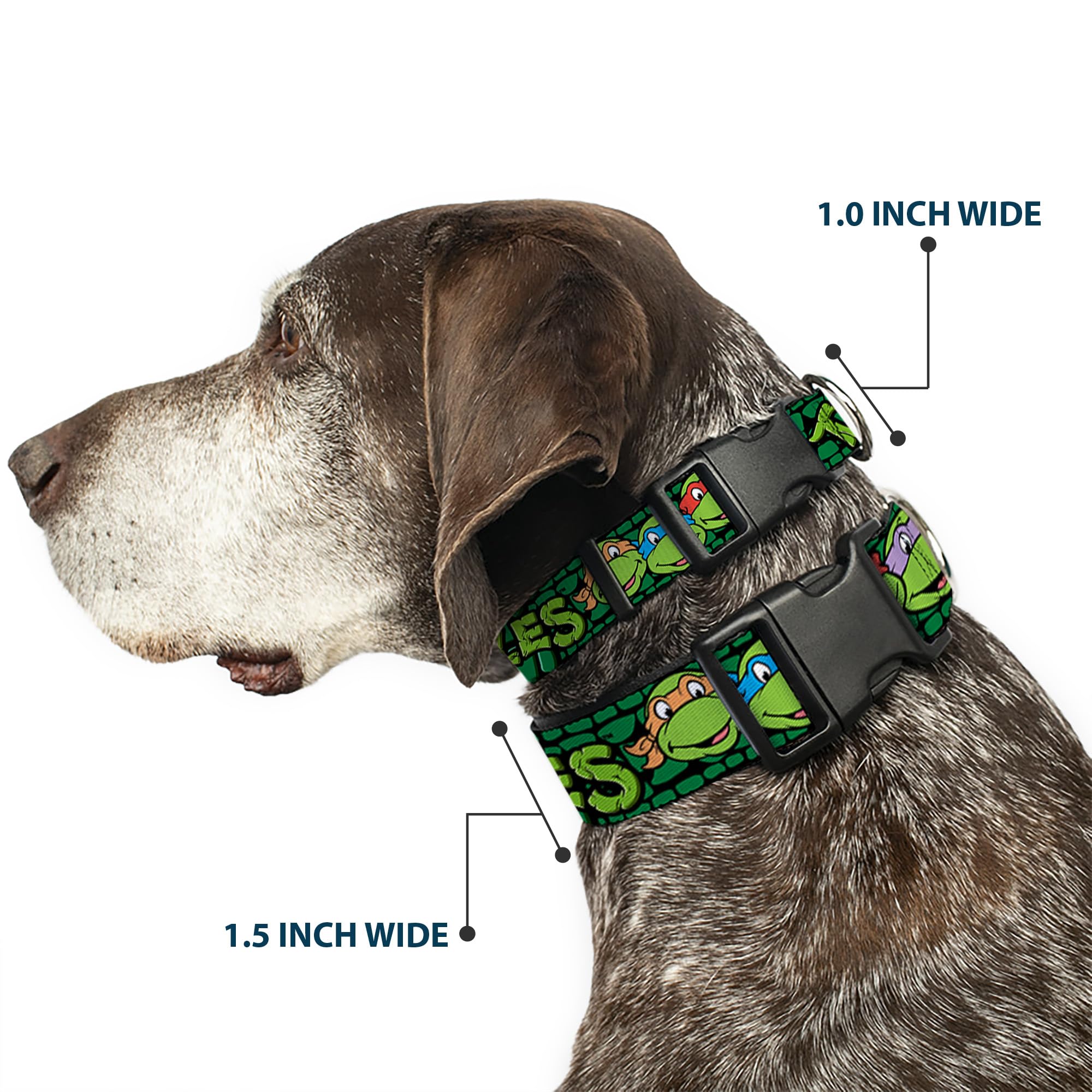 Buckle-Down TMNT turtle shell collar vibrant colors for standout walks