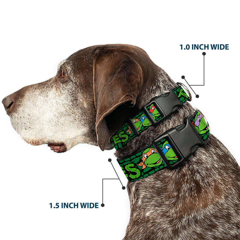 Buckle-Down TMNT turtle shell collar vibrant colors for standout walks