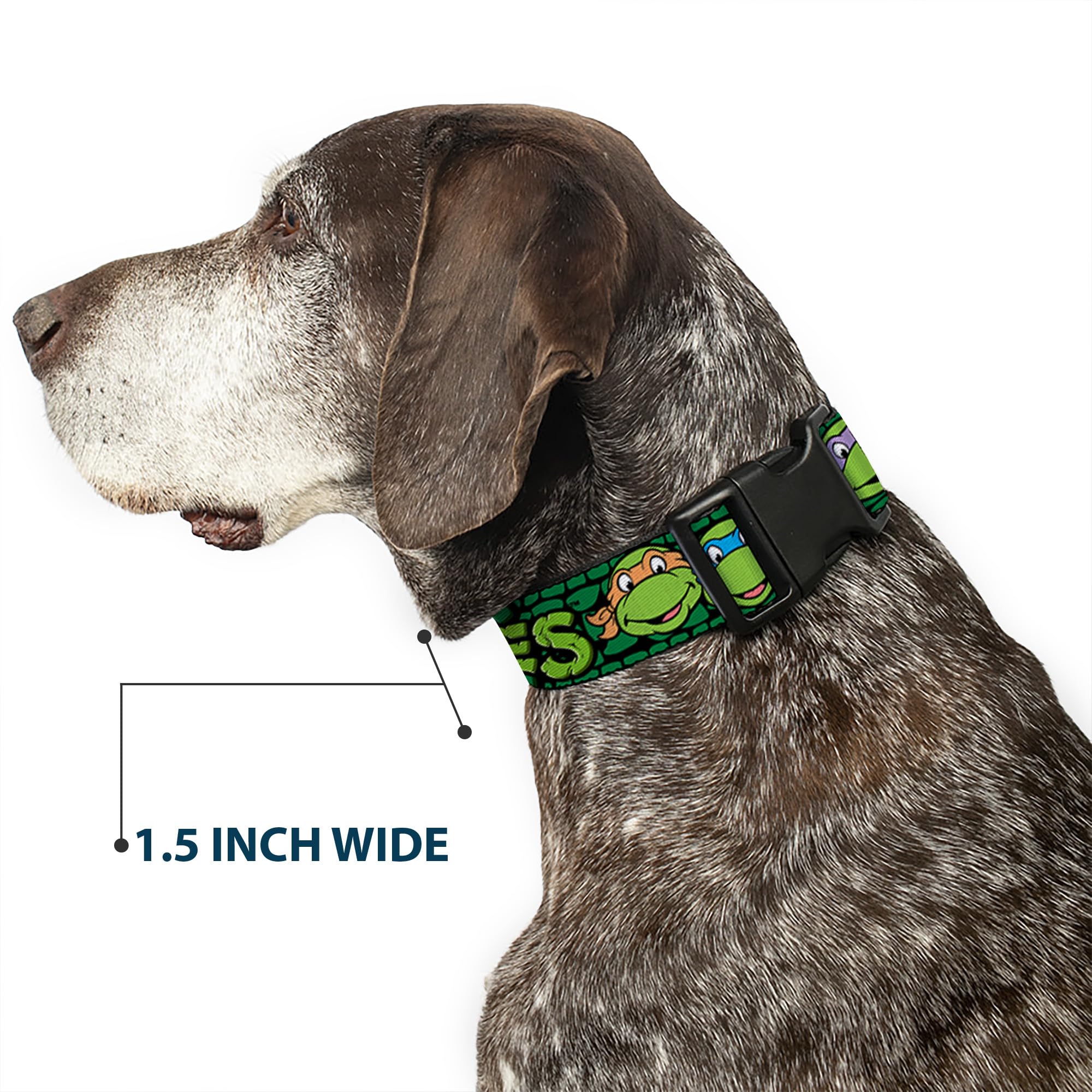 Buckle-Down USA-made collar handcrafted quality for reliable everyday wear