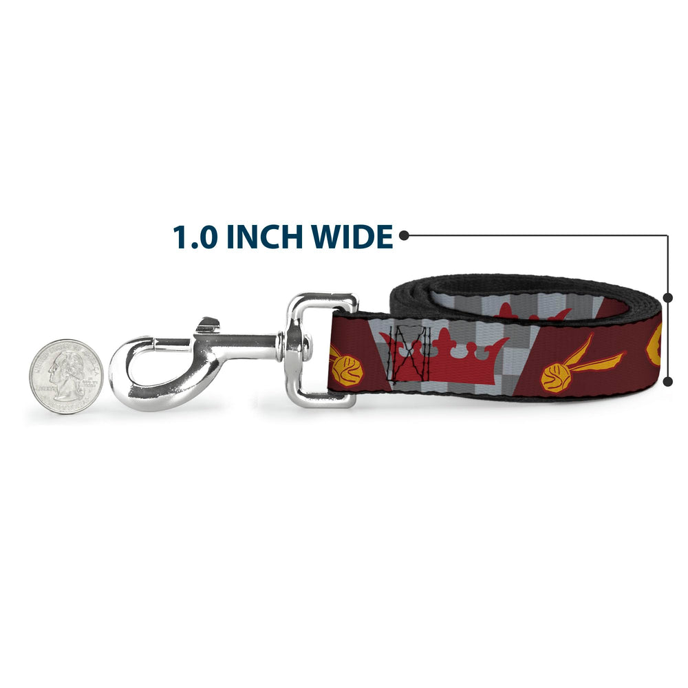 Buckle-Down Warner Bros. pet leash red-gold-gray design for fandom-friendly style on daily strolls