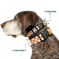 Buckle-Down collar closeup shows durable buckle and sturdy D-ring for energetic dogs.