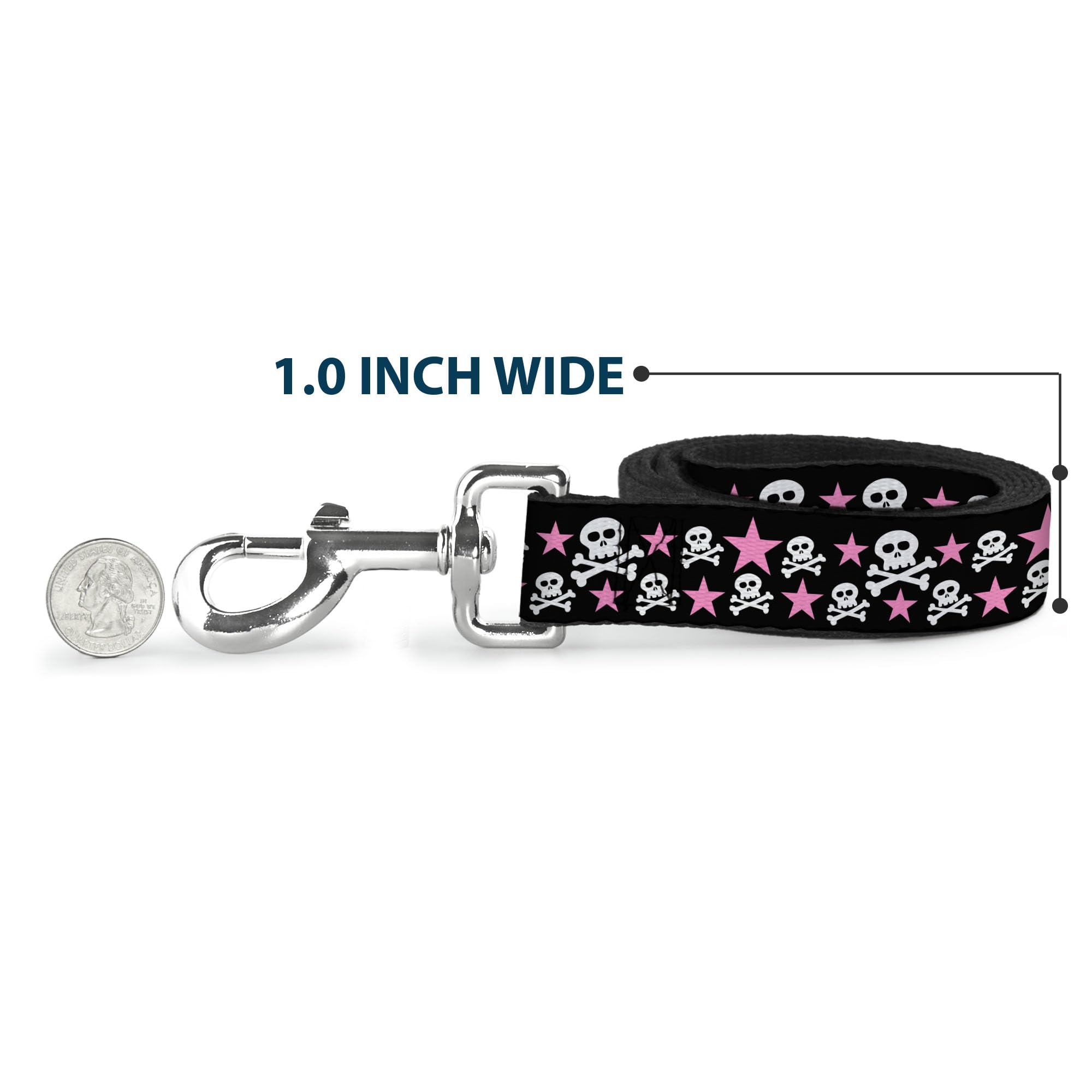 Buckle-Down leash hardware closeup highlights steel components for lasting strength.
