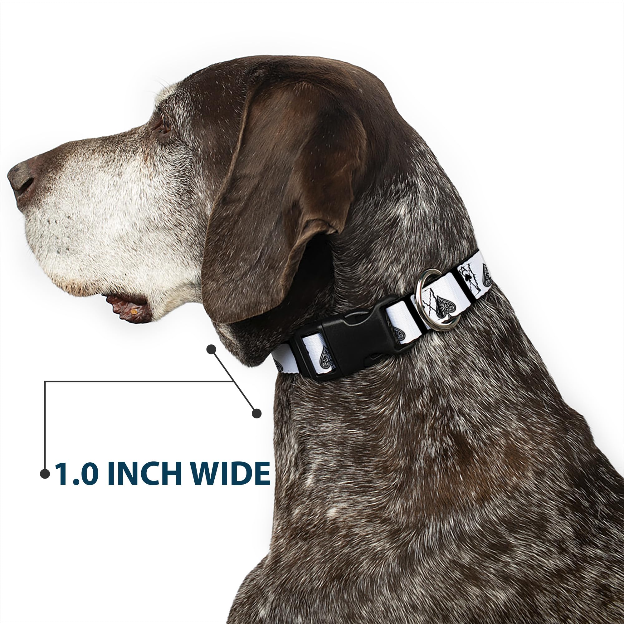 Buckle-Down Ace Of Spades collar designed for all seasons and year-round wear.