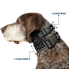 Buckledown Americana Flag collar side view, pattern ideal for seasonal wear
