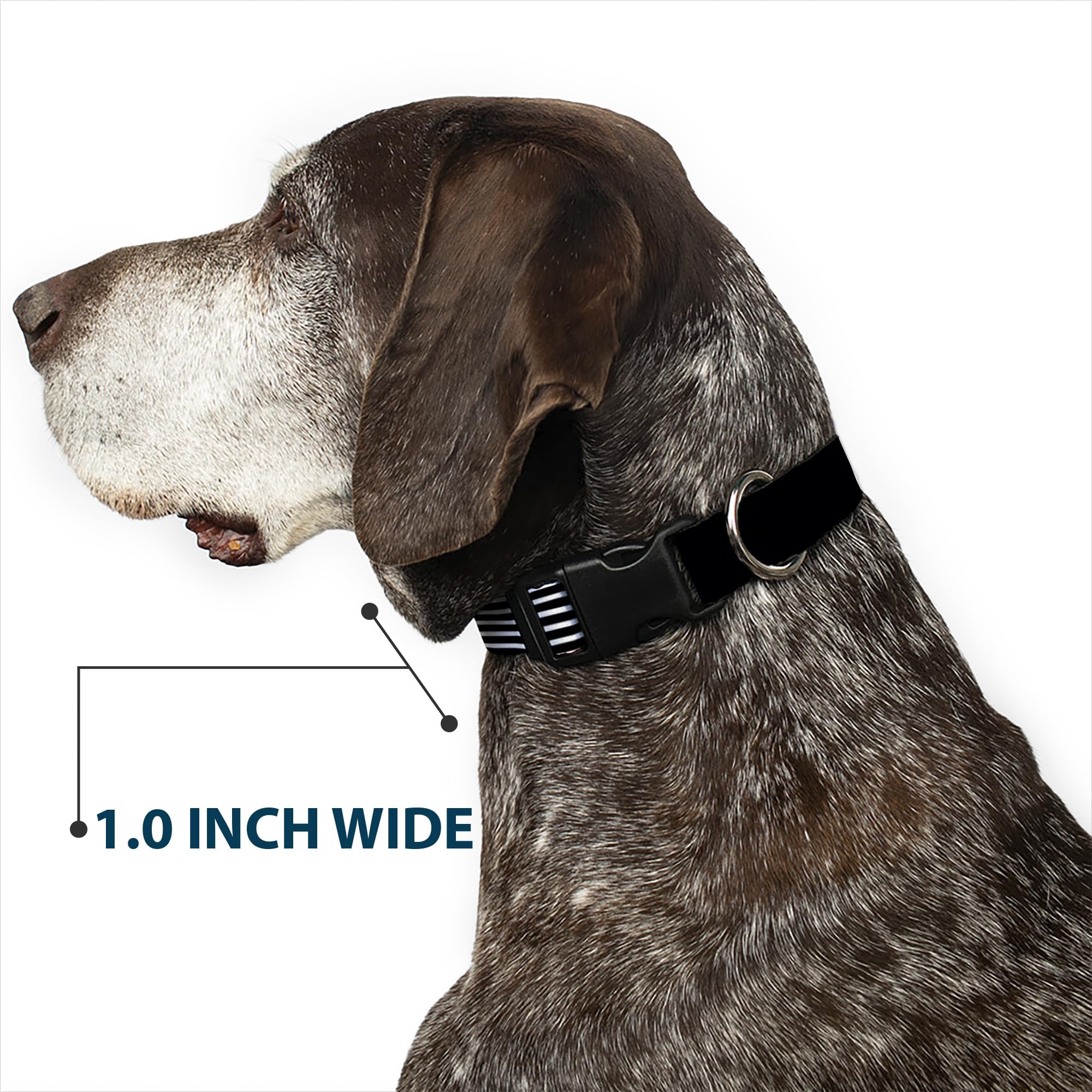 Buckledown Americana Flag leash compatibility closeup for matching sets