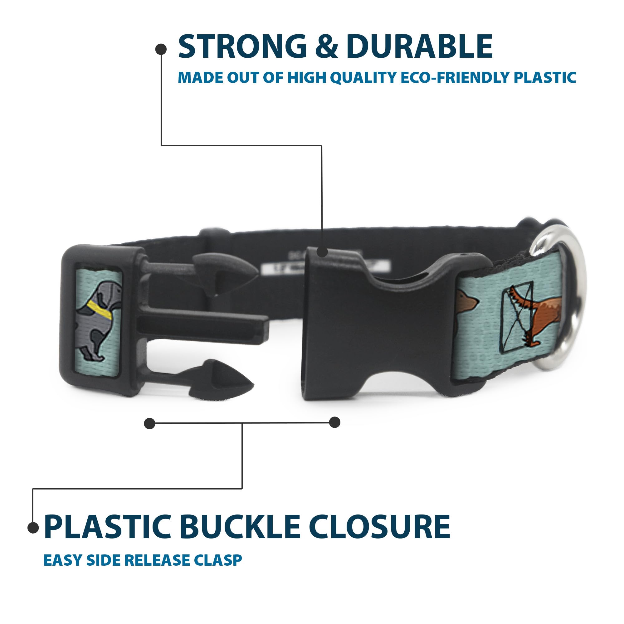 Buckle-Down Aquas collar worn on dog during daily walks.