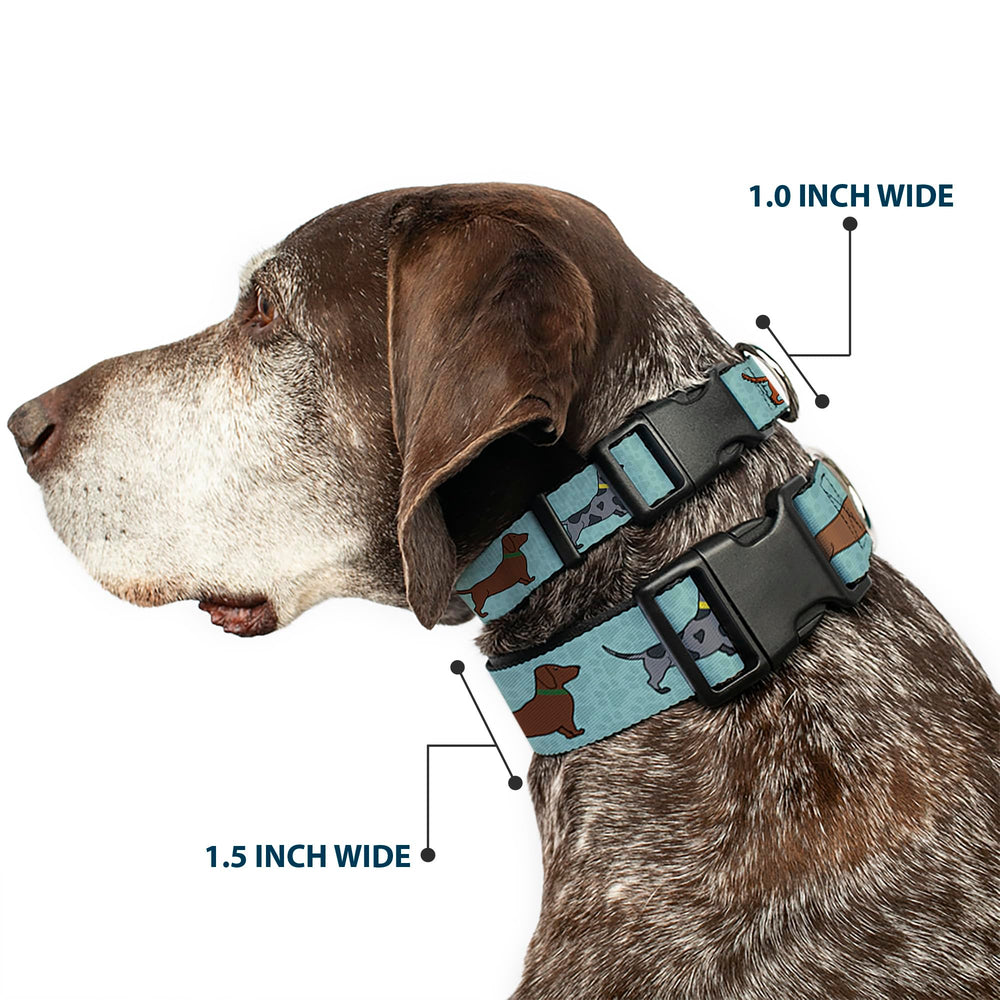 Buckle-Down aquas plastic buckle detail highlights secure closure for active dogs.