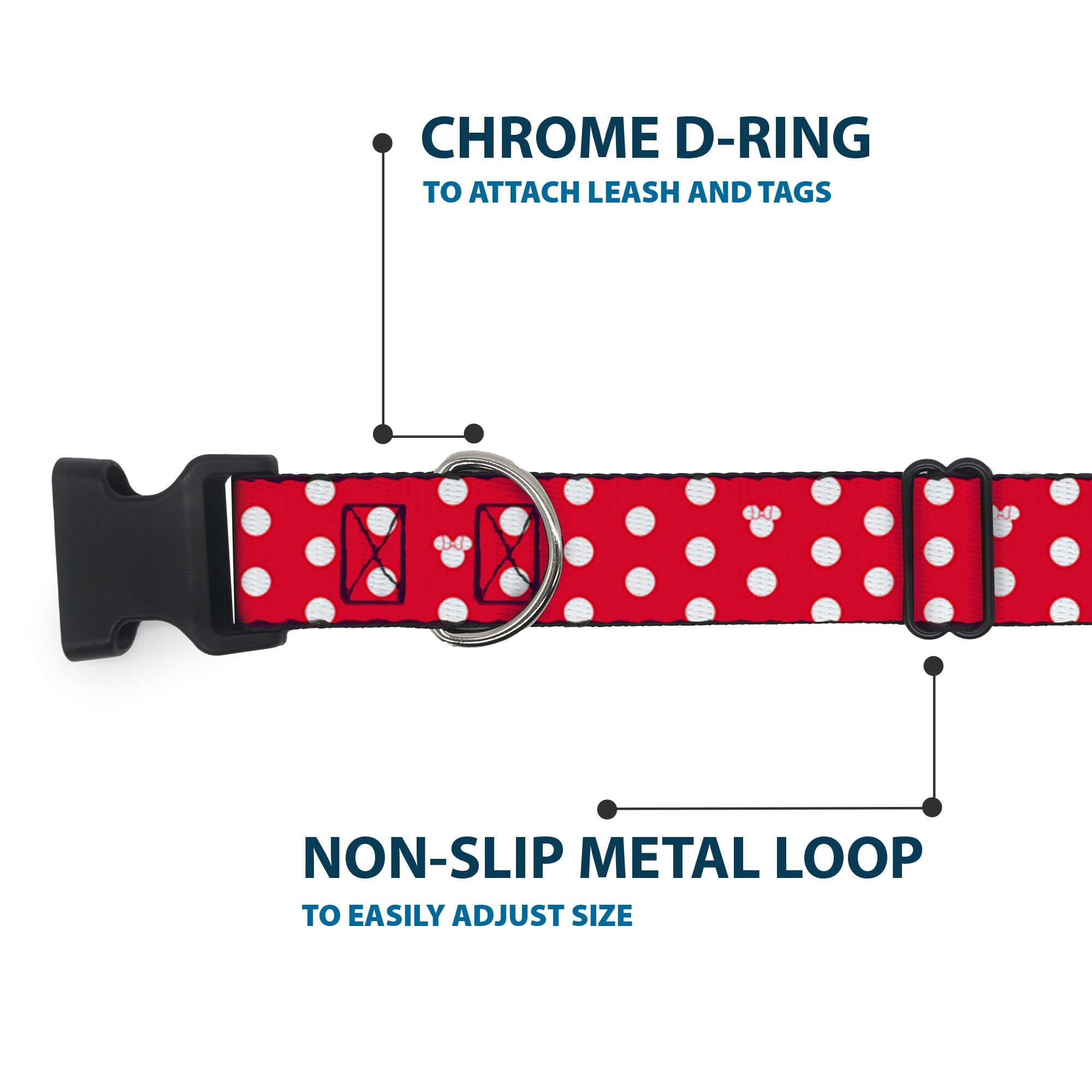 Buckle-Down D-ring and buckle detail ensures leash attachment stays secure.