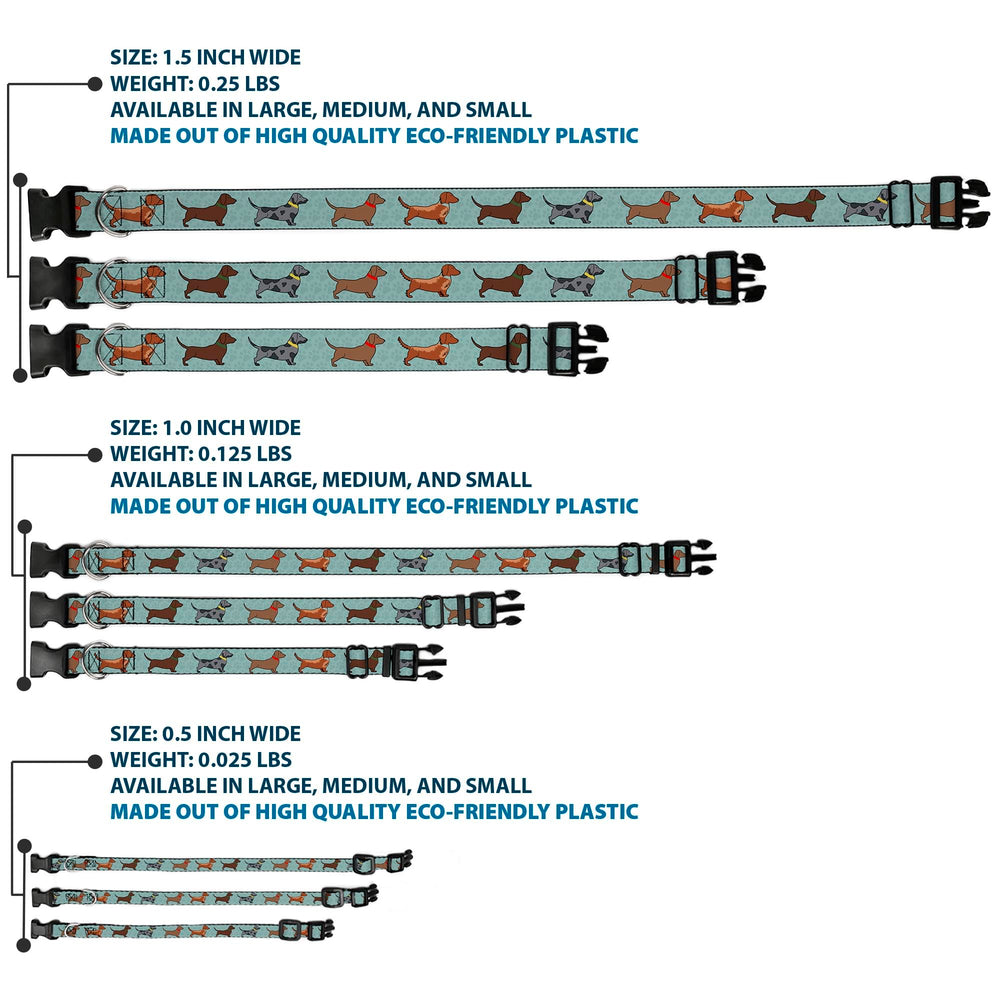 Buckle-Down d-ring strength detail emphasizes durable leash attachment for outdoor play.