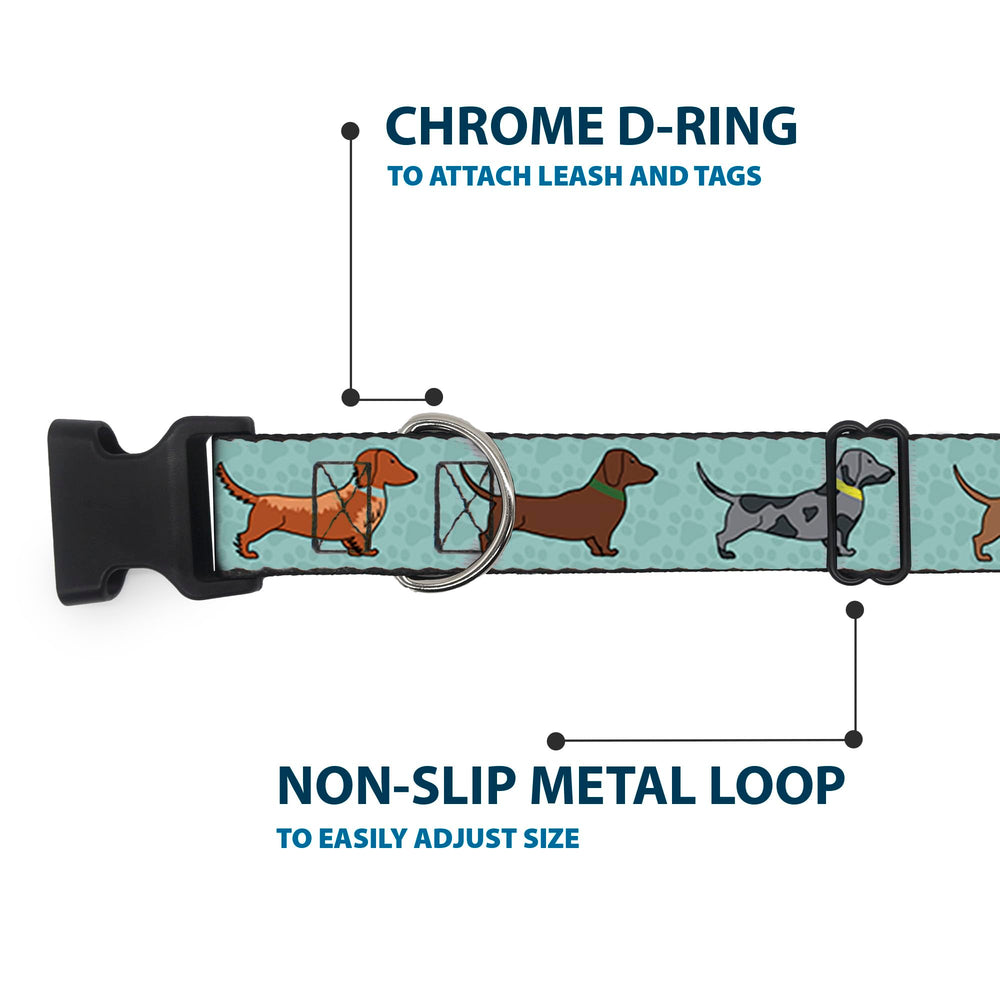Buckle-Down dachshund 4-Dogs/Paws Aquas collar fabric detail on vibrant polyester