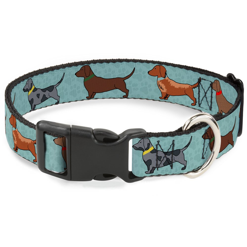 Buckle-Down dachshund 4-Dogs/Paws Aquas collar front view shows bold color and durable buckle for daily adventures