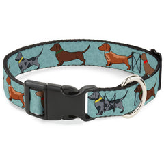 Buckle-Down dachshund 4-Dogs/Paws Aquas collar front view shows bold color and durable buckle for daily adventures