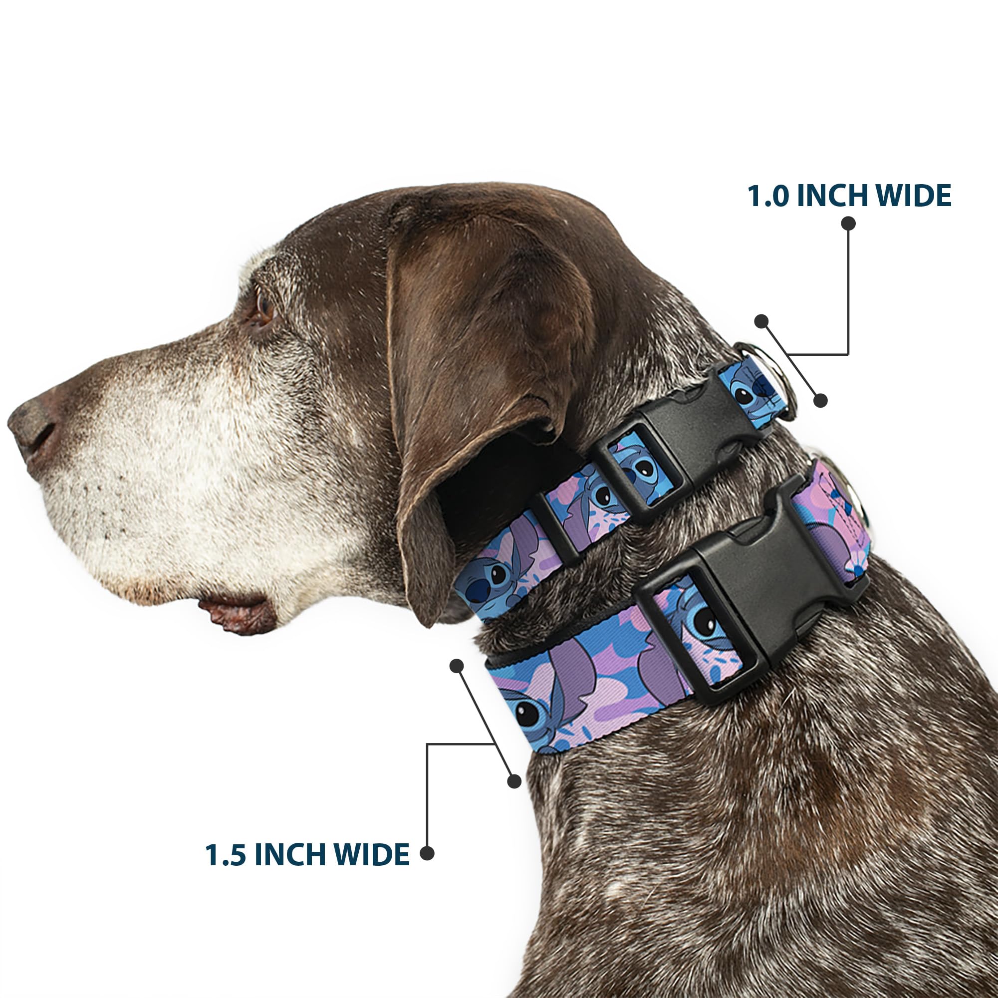 Buckle-Down Disney dog collar plastic buckle close-up highlighting secure fastening for rambunctious dogs.