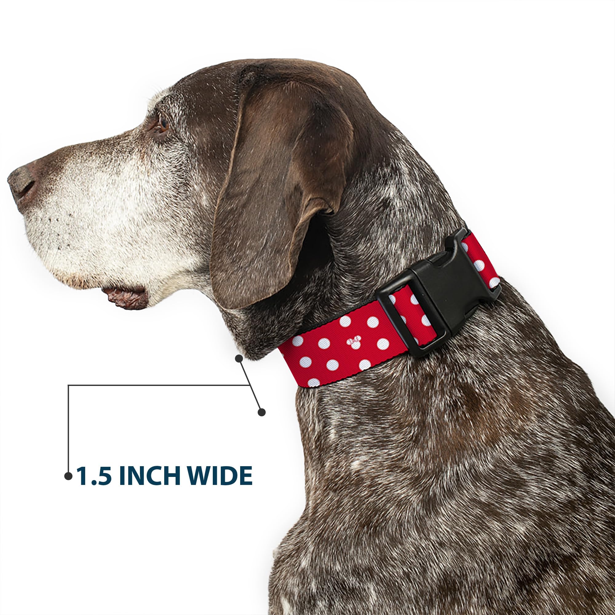 Buckle-Down Disney licensing tag visible for an authentic character accessory.