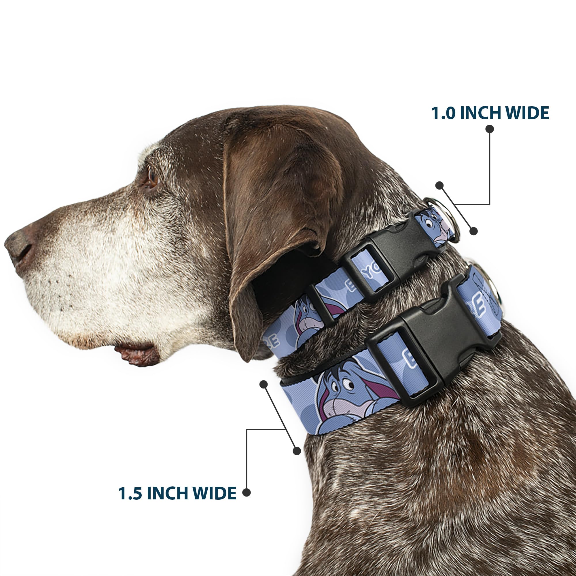 Buckle-Down Disney pet collar plastic buckle detail emphasizes secure fit during outdoor adventures