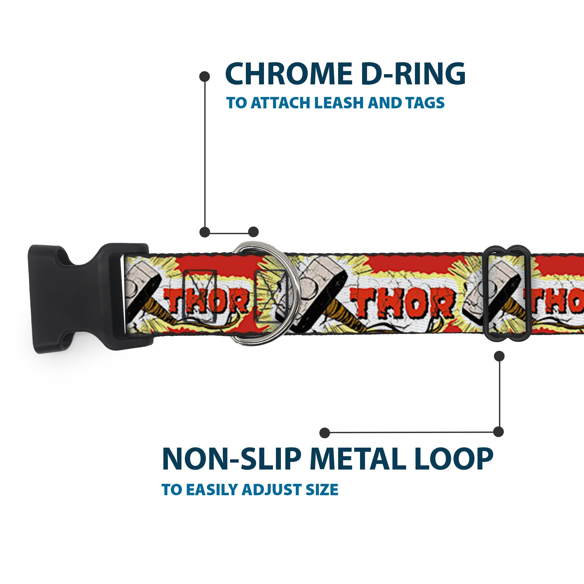 Buckle-Down collar with strong D-ring and secure buckle