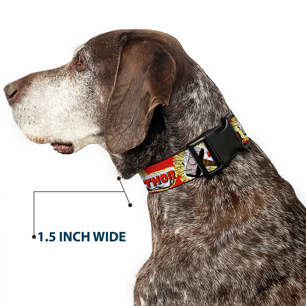 Buckle-Down durable polyester dog collar designed for active dogs