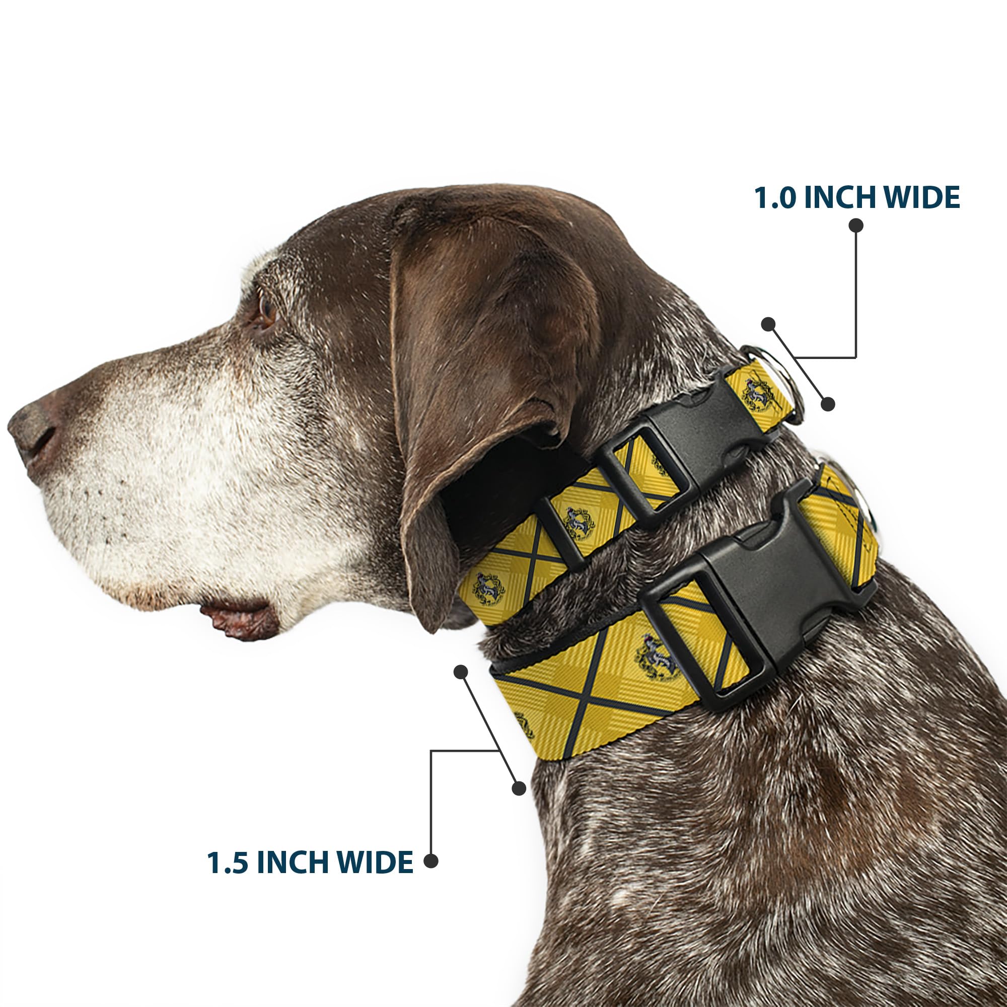 Buckle-Down dog collar crest detail for fans enjoying official licensed design.